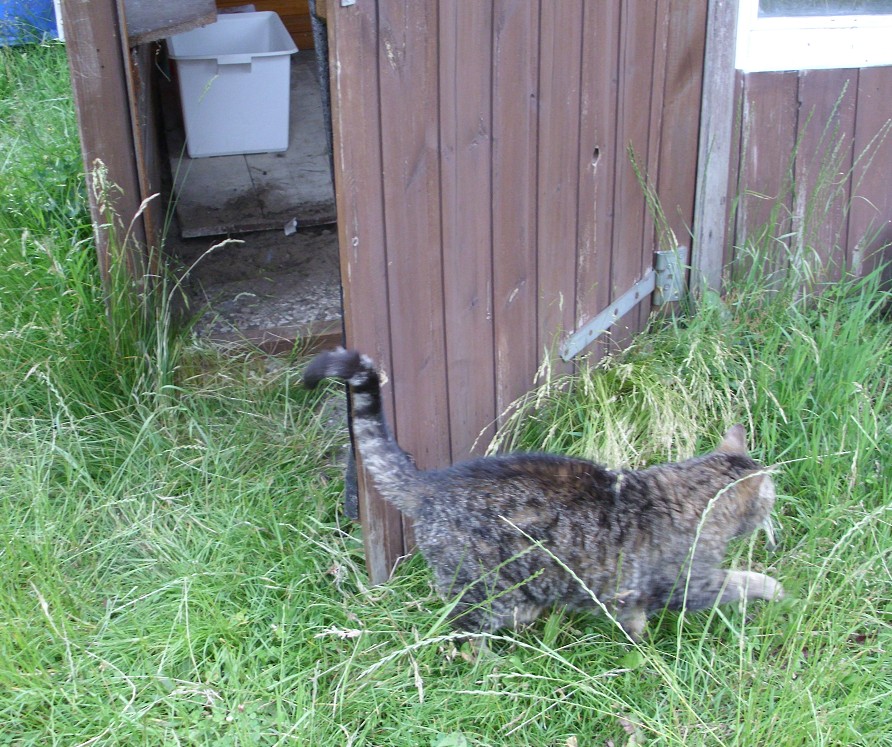 Erkunden des neuen Zuhauses