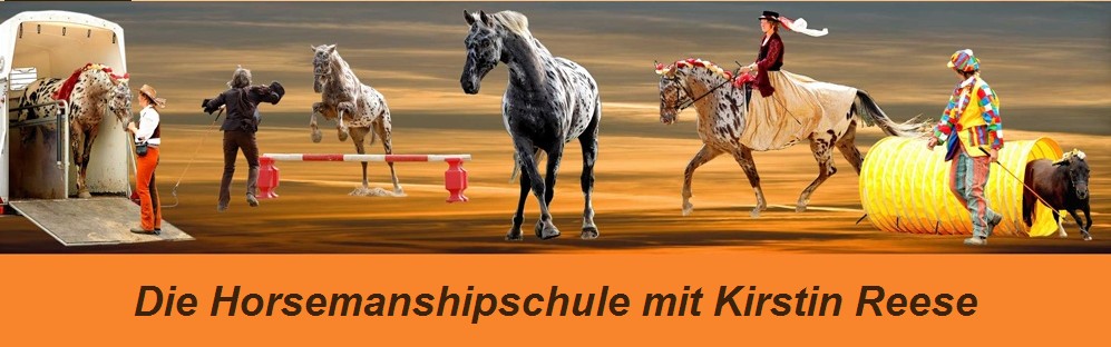 Die Horsemanshipschule von Kirtin Reese