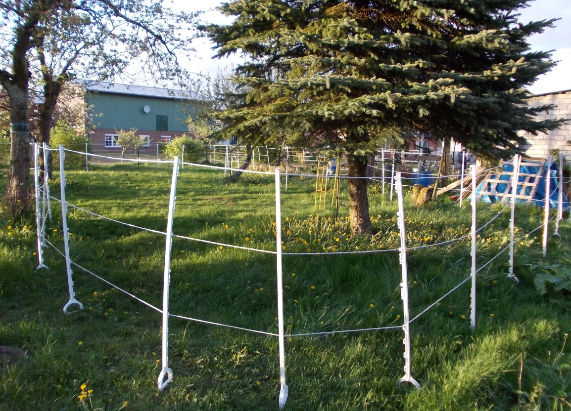 , aber um selbige zu schonen, wird der Obstgarten wieder �bergangsweise eingez�unt.