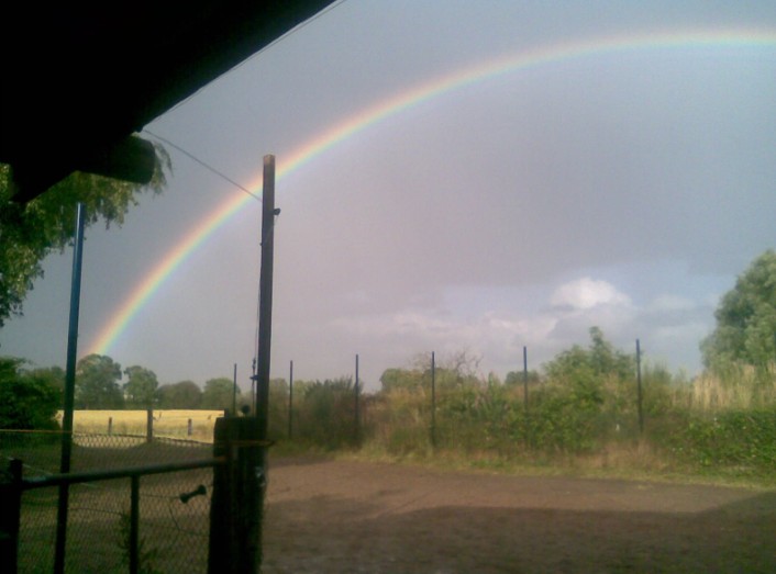Regenbogen