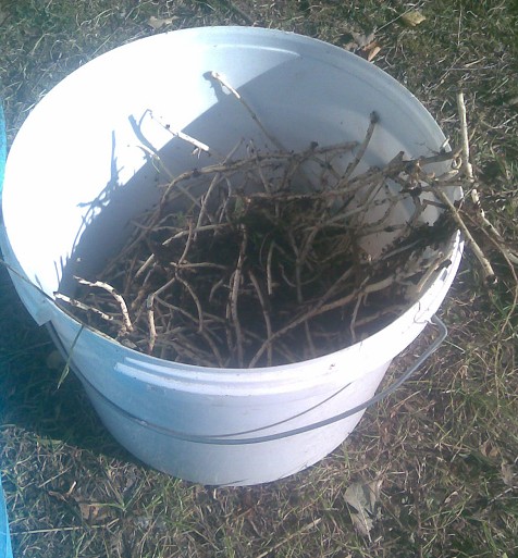 Kompost2