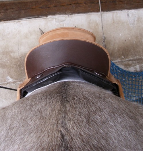 Sattel von hinten