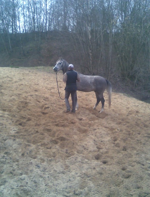 Elmi am Pferdebadesee