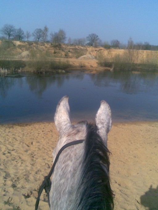 Shaman am Pferdebadesee