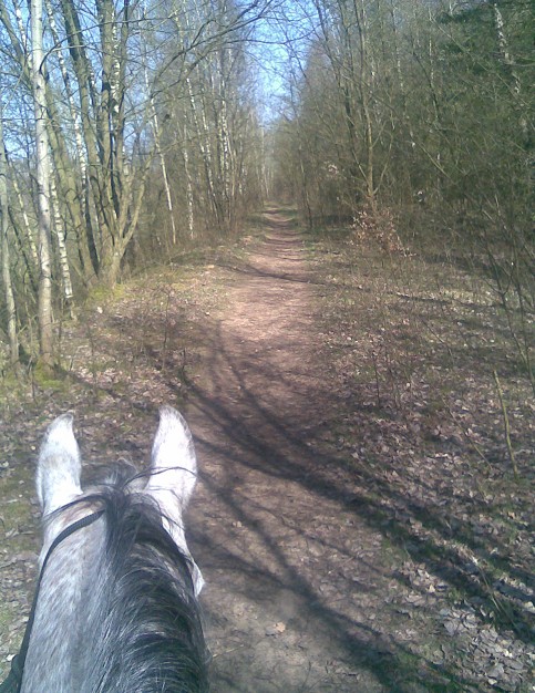 Shaman im Birkenw�ldchen