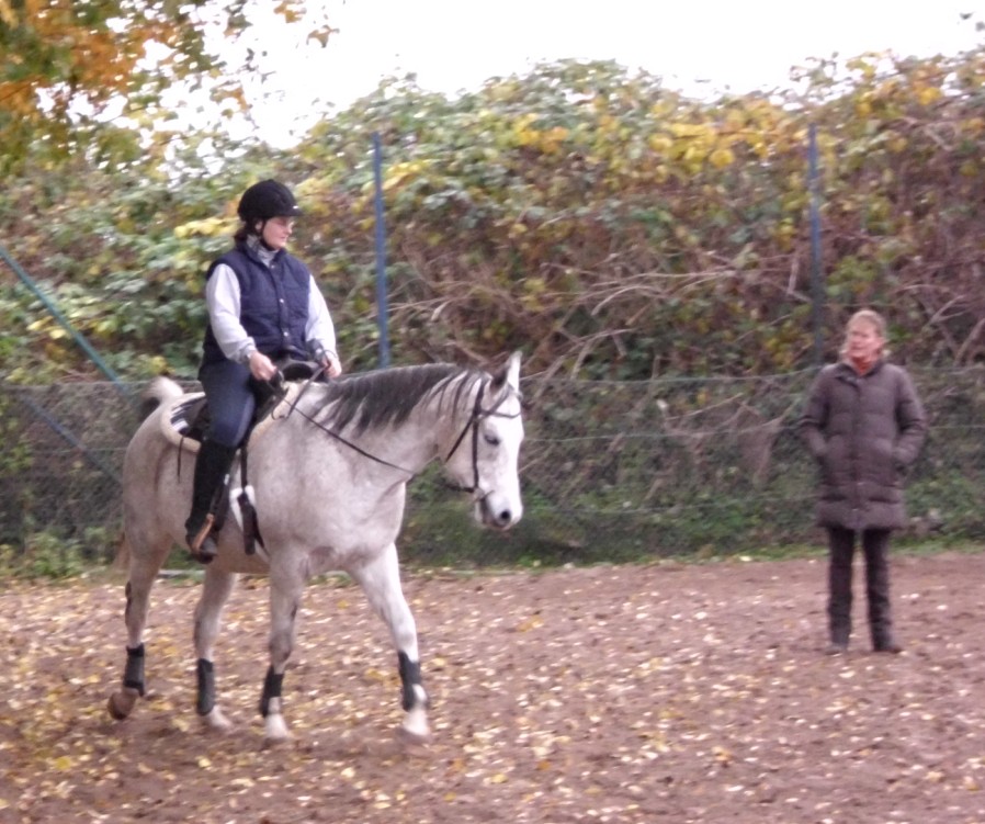 Unterricht mit Shaman