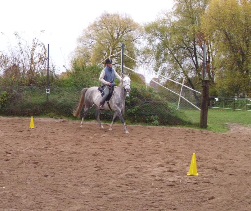 Elmi und Rolf im Unterricht