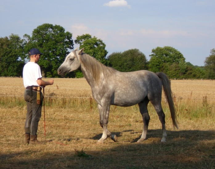 yoyo mit Elmi liberty