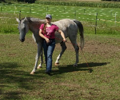 circling r�ckw�rts