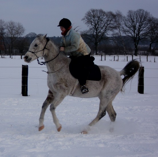 Galopp im Schnee