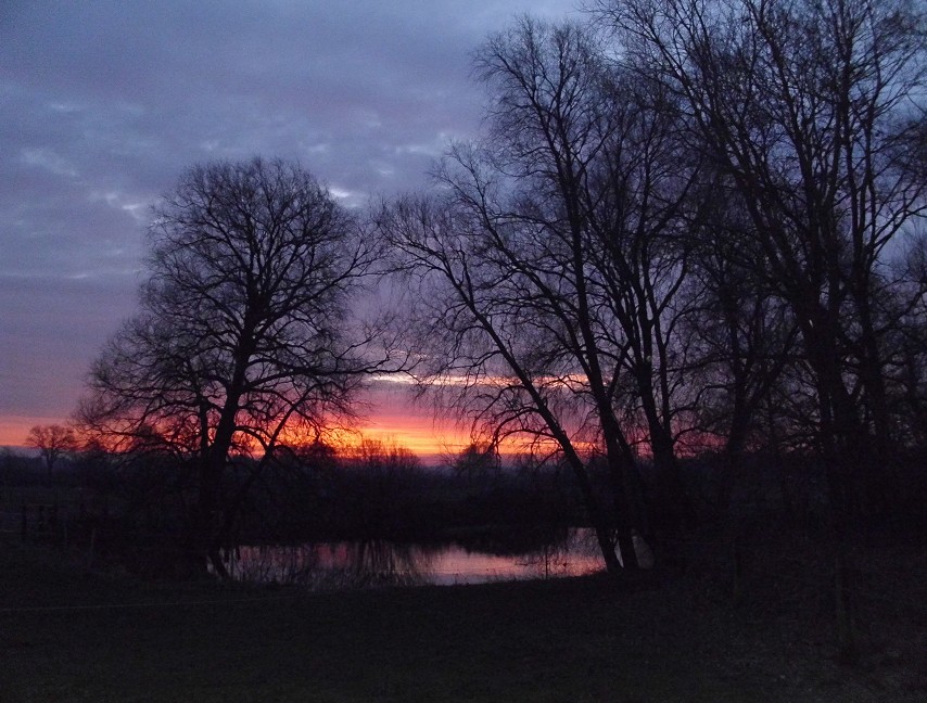 Februarmorgen im Stall